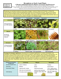 Bryophytes or Early Land Plants - MicroPlants