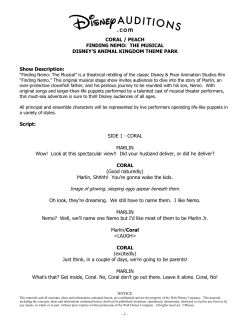 CORAL / PEACH FINDING NEMO