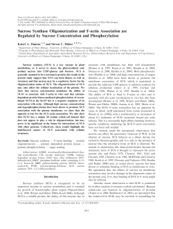 Sucrose Synthase Oligomerization and F-actin