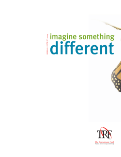 2004 Annual Report - Reinvestment Fund