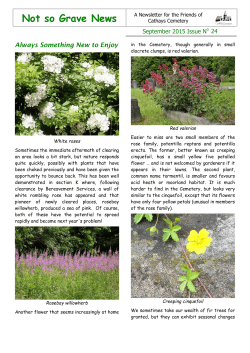 Not so Grave News # 14 - The Friends of Cathays Cemetery