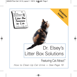 Dr. Elsey`s Litter Box Solutions