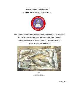 THE EFFECT OF STOCKING DENSITY AND SUPPLEMENTARY