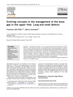 Evolving concepts in the management of the bone gap in the upper