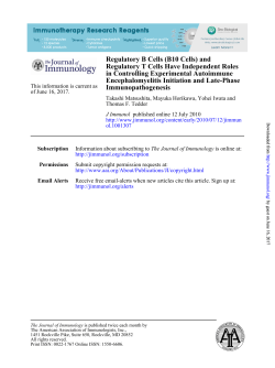 Immunopathogenesis Encephalomyelitis Initiation and Late