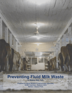 Preventing Fluid Milk Waste - Master of Science in Sustainability