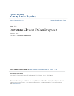 International Obstacles To Social Integration
