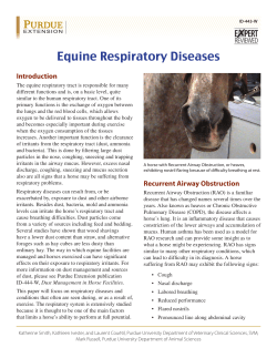Equine Respiratory Diseases - Purdue Extension