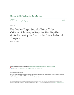 The Double-Edged Sword of Prison Video Visitation