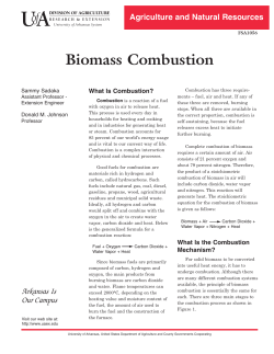 Biomass Combustion