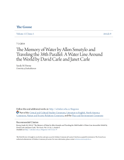 The Memory of Water by Allen Smutylo and Traveling the 38th Parallel