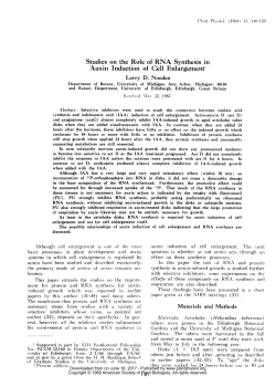 Studies on the Role of RNA Synthesis in Auxin