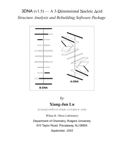 3DNA (v1.5) &mdash; A 3-Dimensional Nucleic Acid Structure Analysis