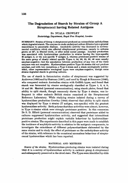 The Degradation of Starch by Strains of Group A