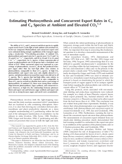 Estimating Photosynthesis and Concurrent Export