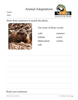 Animal Adaptations - Scholastic Canada