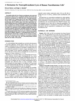 A Mechanism for Neutrophil-mediated Lysis of