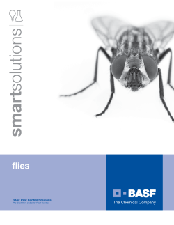 Flies - BASF Professional Pest Control
