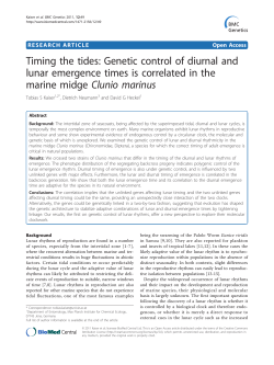 Timing the tides: Genetic control of diurnal and lunar