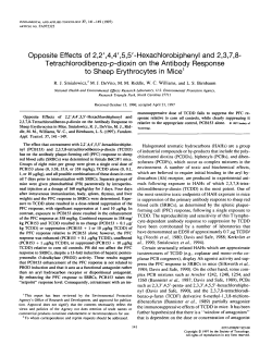 Opposite Effects of 2,2`,4,4`,5,5`