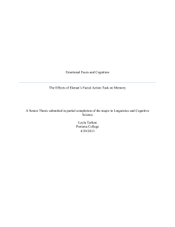 Emotional Faces and Cognition