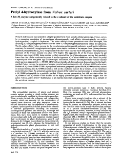 Prolyl 4-hydroxylase from Volvoxcarteri