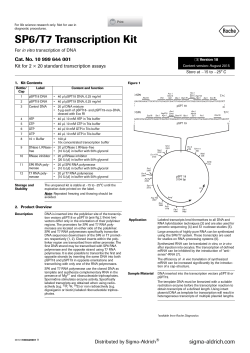 For in vitro transcription of DNA - Sigma