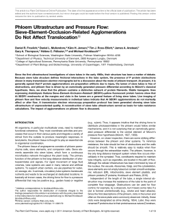 Phloem Ultrastructure and Pressure Flow: Sieve