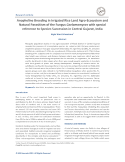 Anopheline Breeding in Irrigated Rice Land Agro