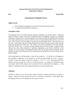 Experiment 8: Magnetic Forces