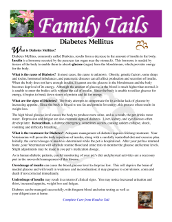 February 2010 - Family VetCare