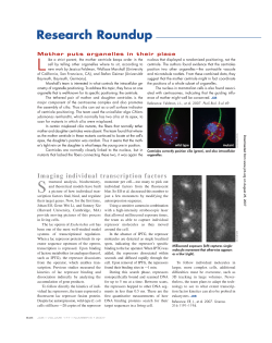 Imaging Individual Transcription Factors