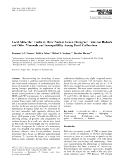 Local Molecular Clocks in Three Nuclear Genes: Divergence Times