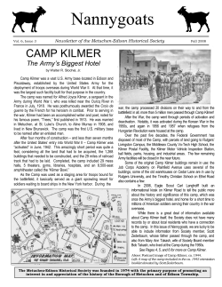 3rd Quarter 2008 Nannygoats - James Halpin Consultant web site