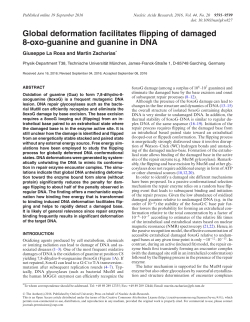 Global deformation facilitates flipping of damaged 8-oxo