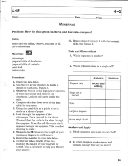 Compare Blue Green with Bacteria lab