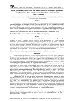 Equine preovulatory follicle - Col&eacute;gio Brasileiro de Reprodu&ccedil;&atilde;o