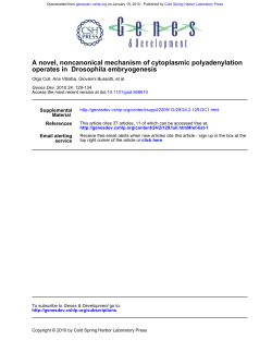 embryogenesis Drosophila operates in A novel - T
