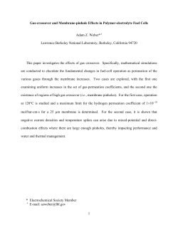 1 Gas-crossover and Membrane-pinhole Effects in
