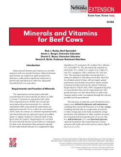 Minerals and Vitamins for Beef Cows