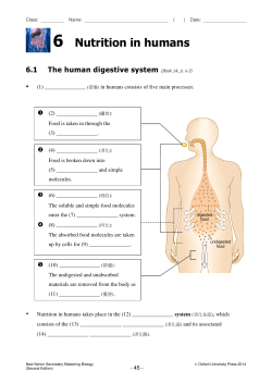 6 Nutrition in humans 6.1 The human digestive system