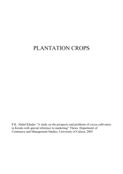 plantation crops