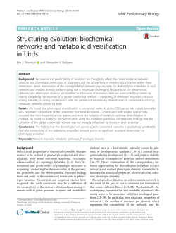 Structuring evolution: biochemical networks and metabolic