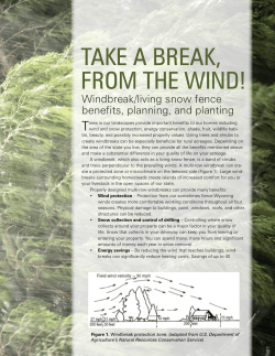 TAkE A BREAk, FRoM ThE WiND!