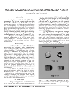 temporal variability in delmarva adena copper beads at pig point