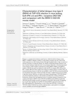 Characterization of lethal dengue virus type 4 (DENV-4) TVP