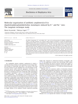 Molecular organization of antibiotic amphotericin B in