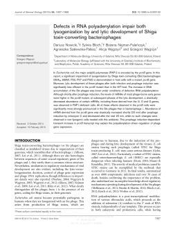 Defects in RNA polyadenylation impair both lysogenization by and