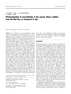Photoadaptation of zooxanthellae in the sponge Cliona vastifica