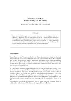 Mozzarella of the East (Cheese-making and Bai culture) Introduction